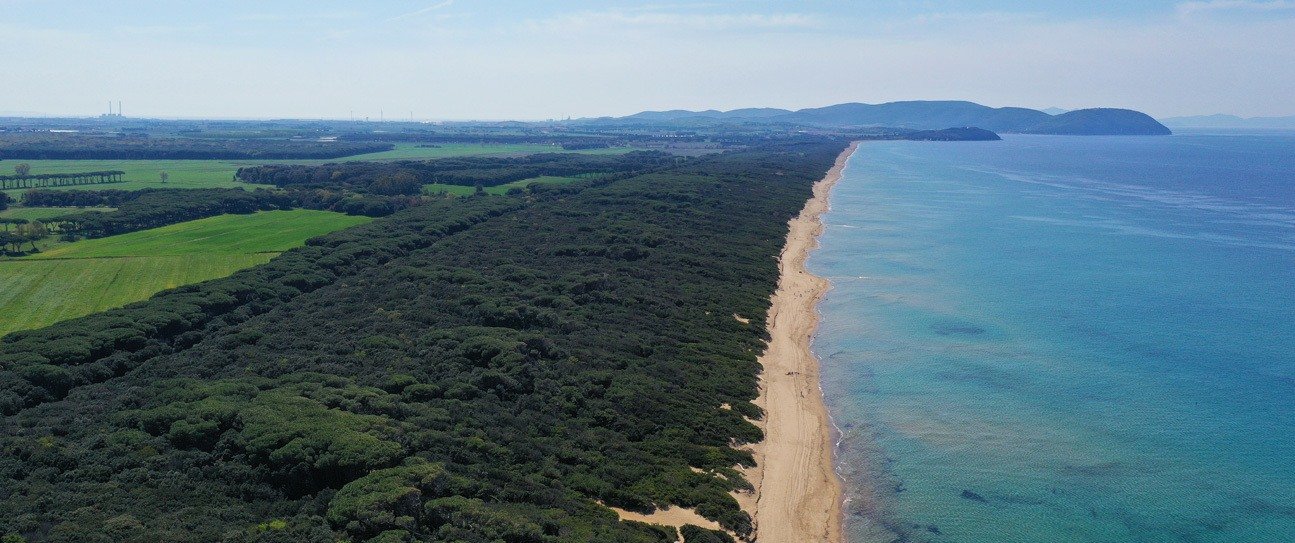Parco di Rimigliano