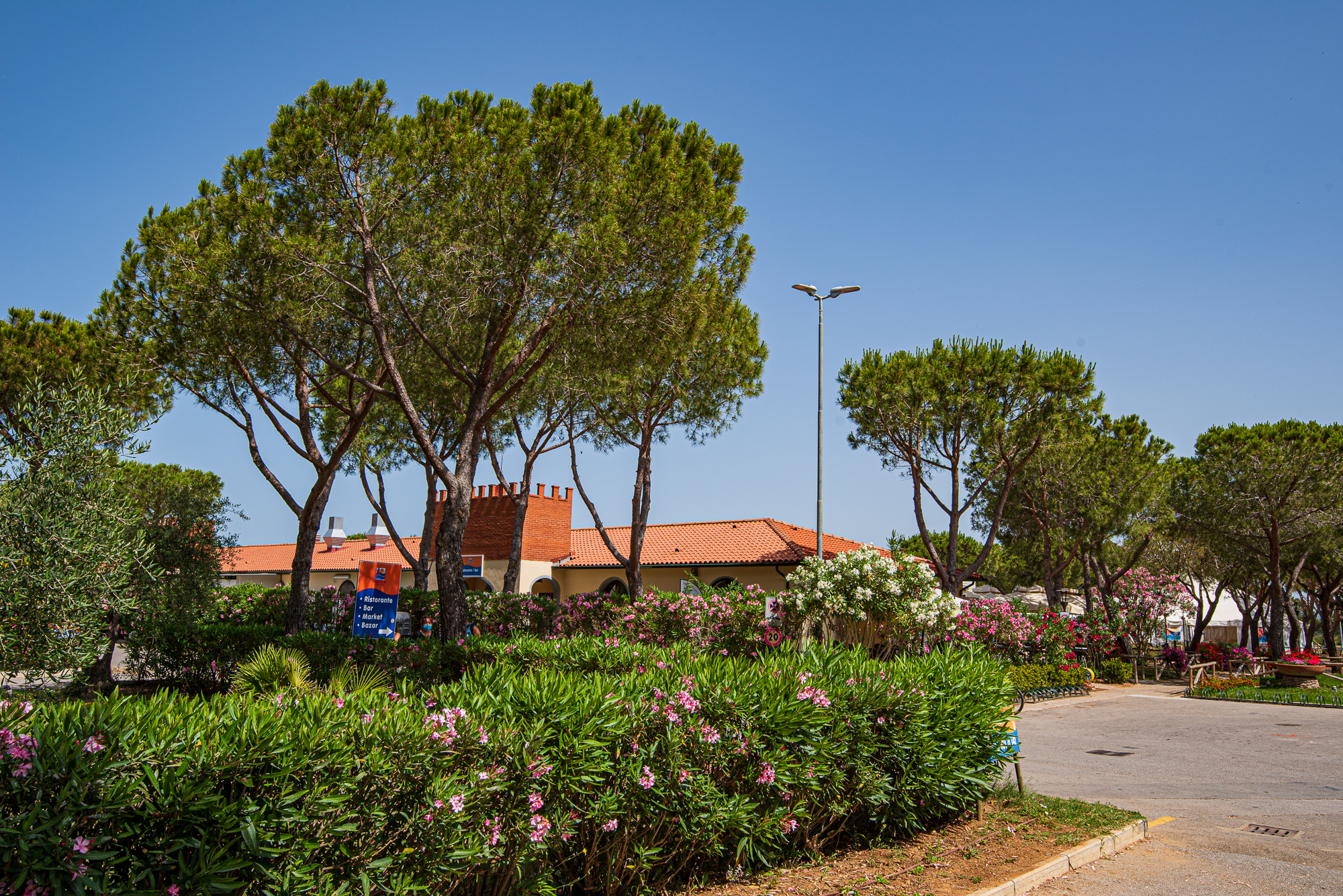 orizzonte 21 villaggio-65 Accoglienza gite in pullman
