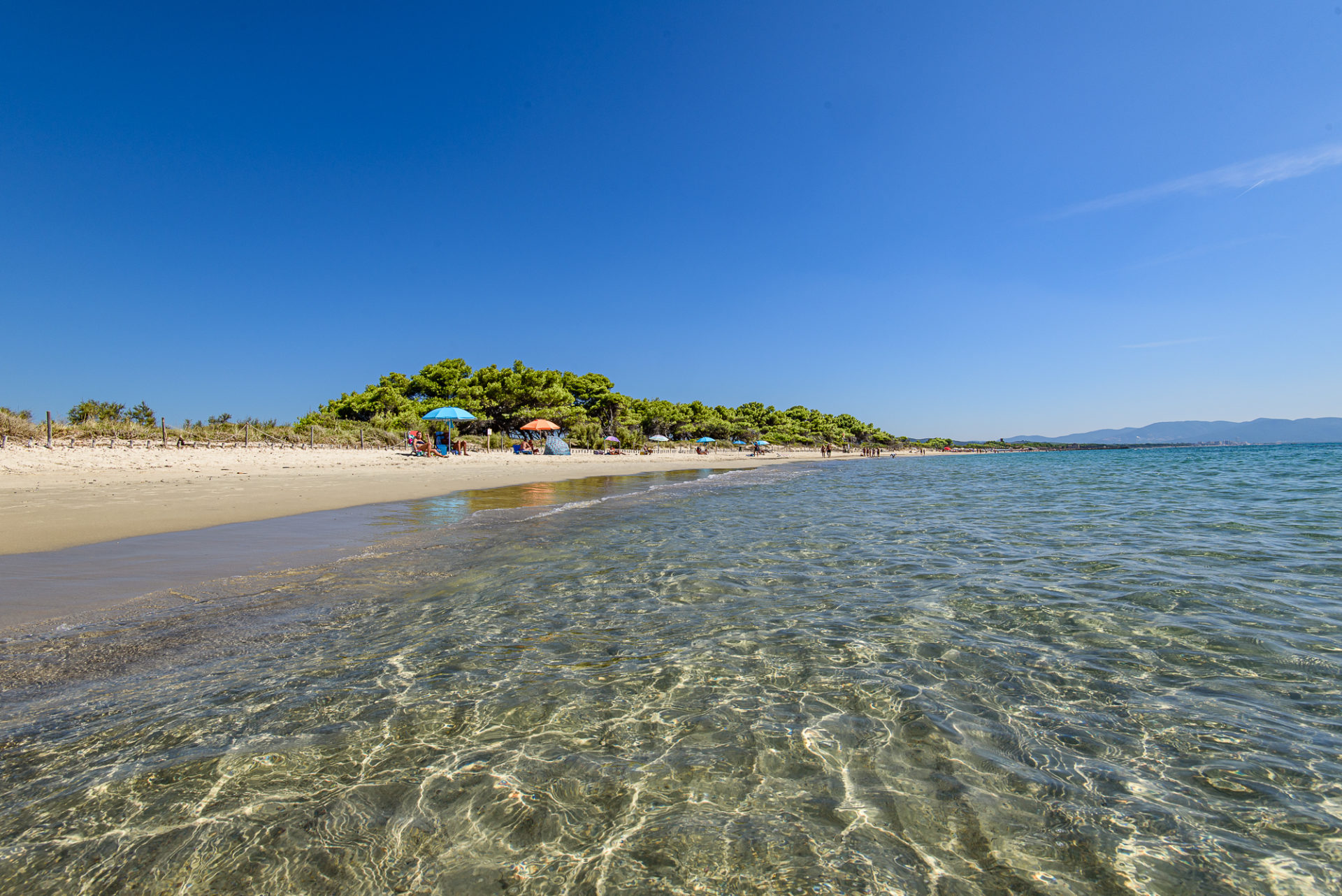 Spiagge Toscana — foto 2